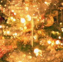 Weihnachtslichter